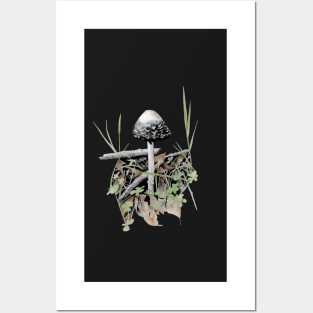 Shaggy Mane Mushroom Posters and Art